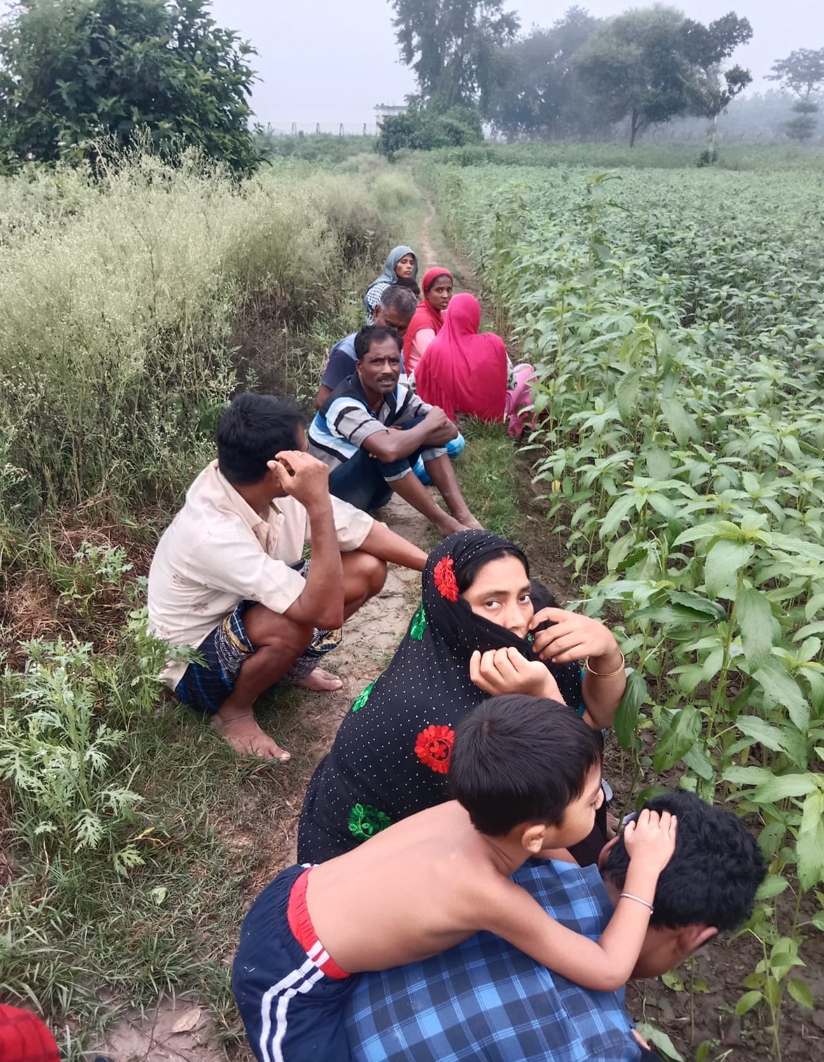 দৌলতপুর সীমান্তে পতাকা বৈঠক ব্যর্থ, ১২ জন এখনও শূন্যরেখায়