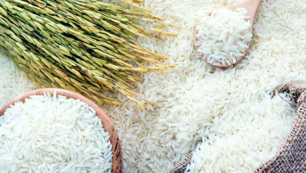 18545814-c7be-48d8-a914-d399f60338f141175