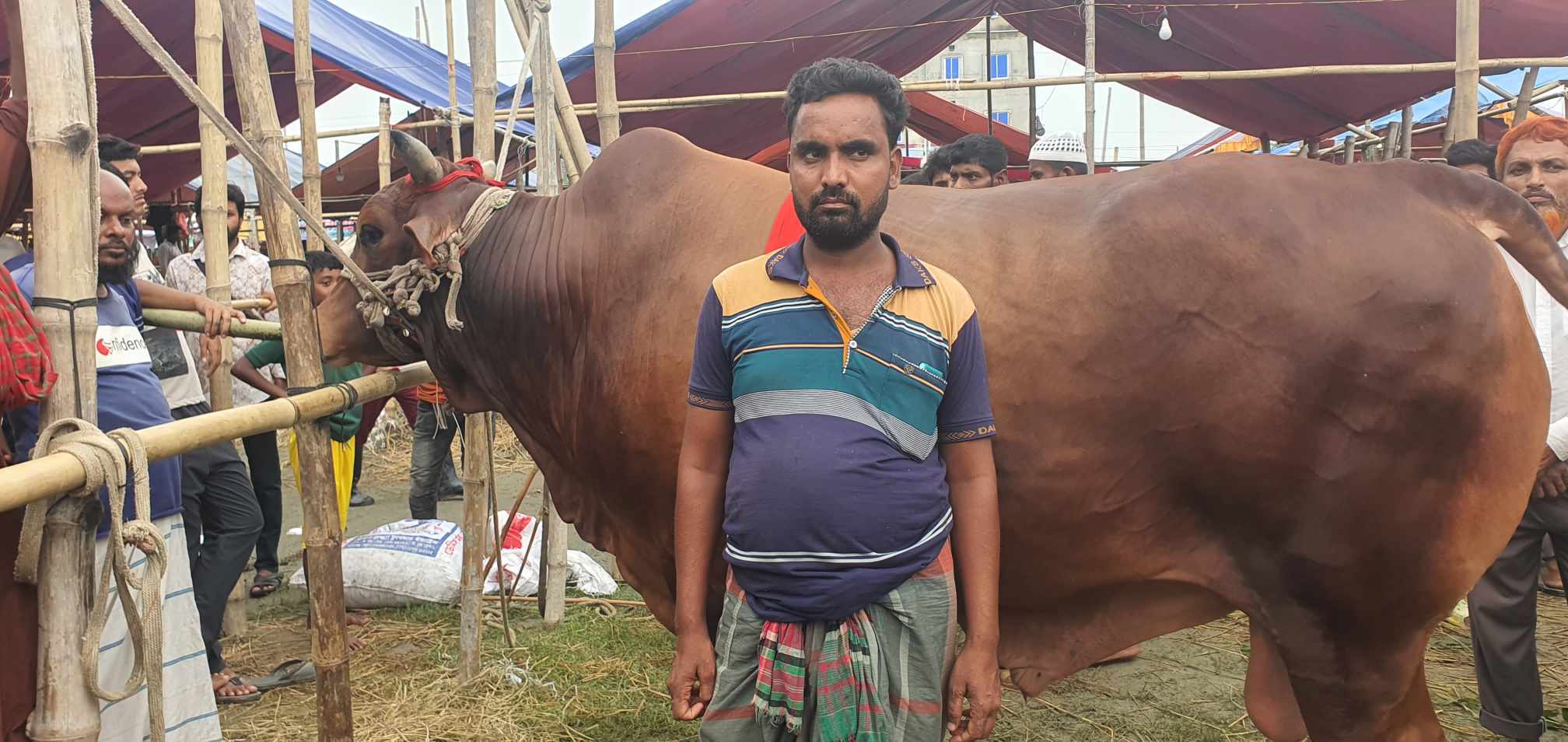 4eb772f3-176e-4ba1-a121-b403bfa75e78