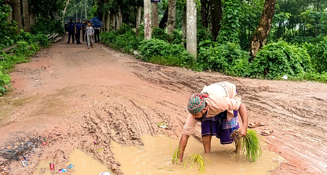 গৌরনদীতে দুটি সড়কের বেহাল দশা, ধানের চারা রোপণ করে প্রতিবাদ