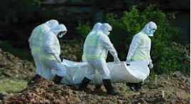 bf8d6115-ba1c-4d05-8127-8369b134c52834311