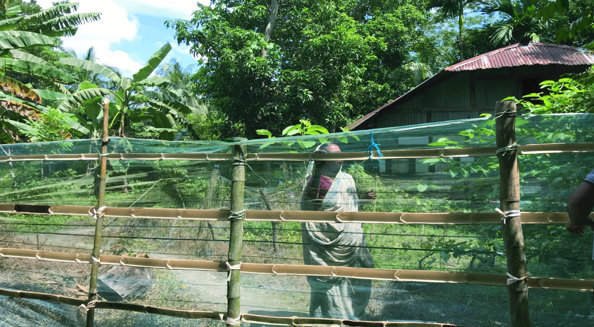 e78d13a5-d712-4cad-9d58-5dadb9704cec36462