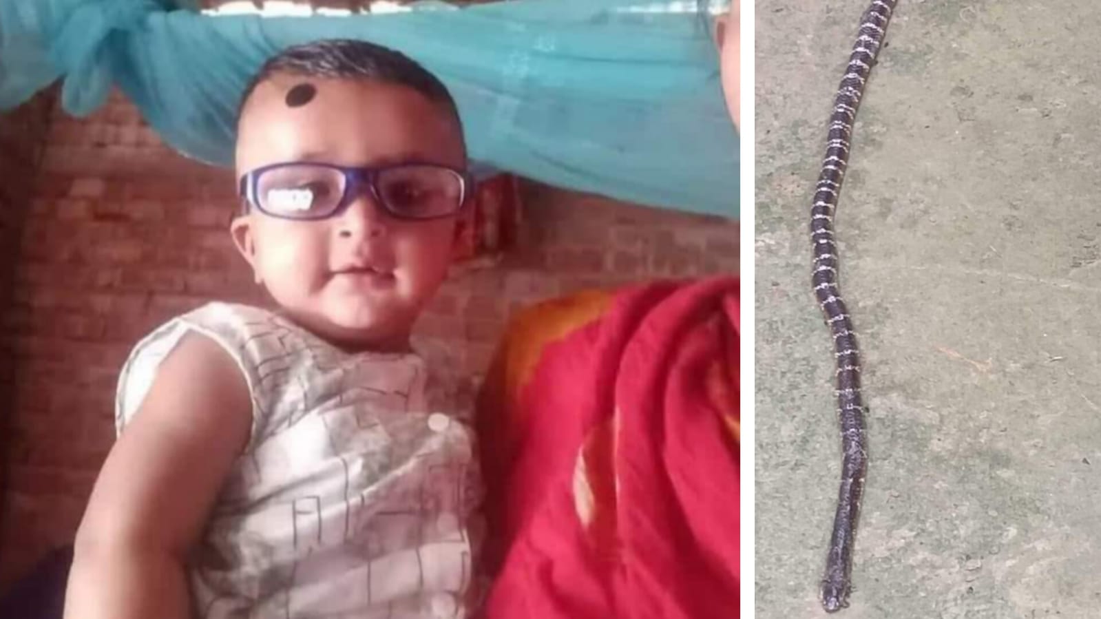 36824bb5-8d4f-40cd-bca6-31b9949ca43d26674