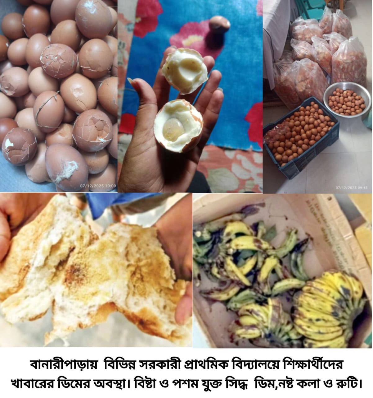 13f125b1-b2e9-4772-bea7-8f8160185d3a38217