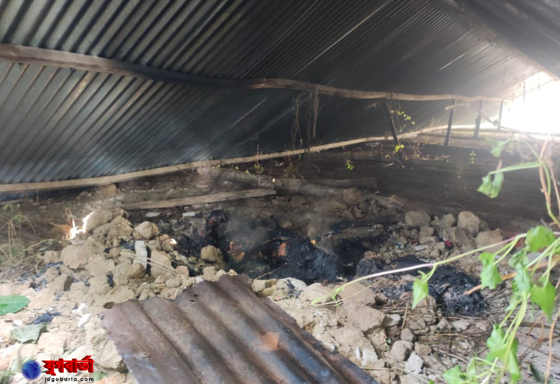 f0f87da4-0bab-4463-946d-98819b1d378f29799