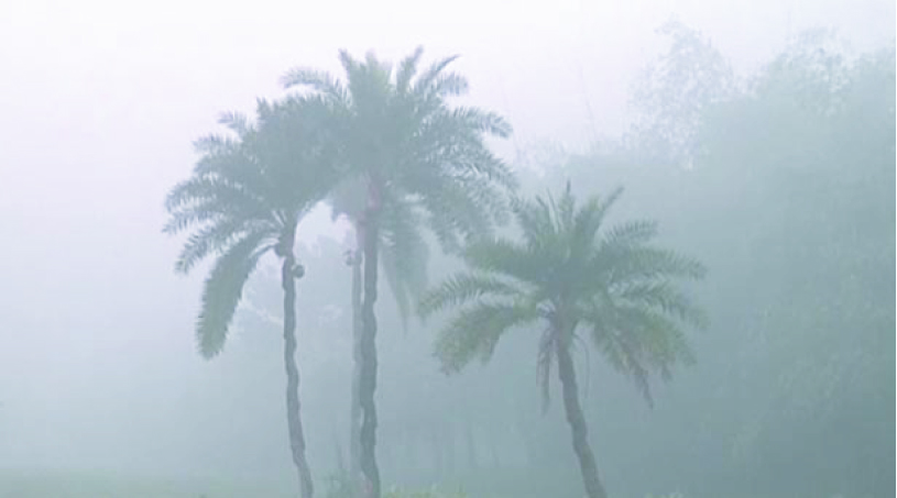 ad608172-6b83-4df1-afdd-973b2ea7365f38514