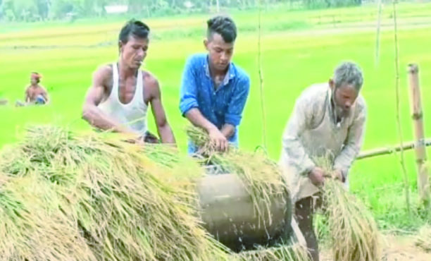 76322c13-719b-4567-9656-00317452f48635272