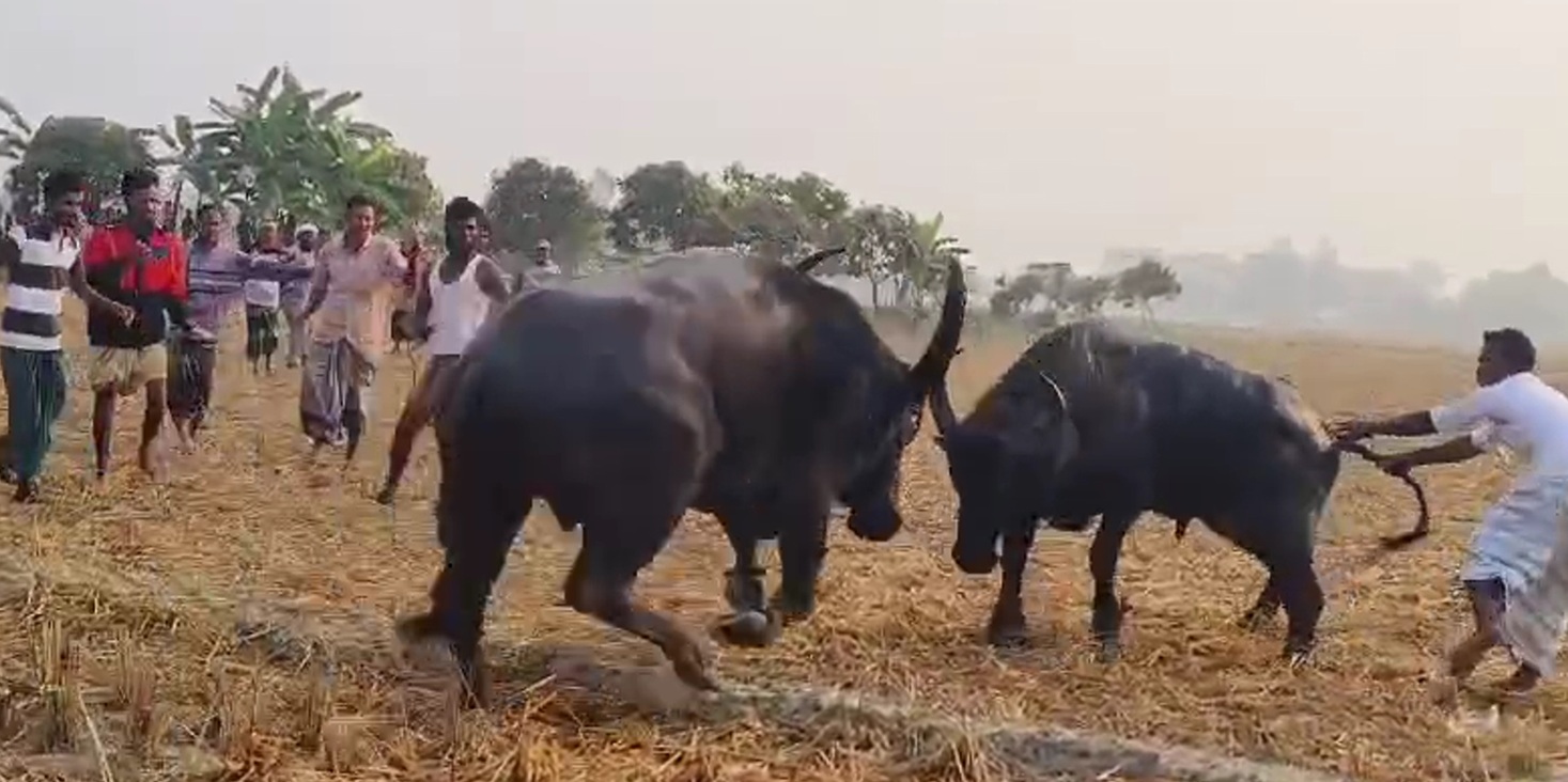 7d7aaf4d-766d-49fd-b6f5-7fee9476368331243