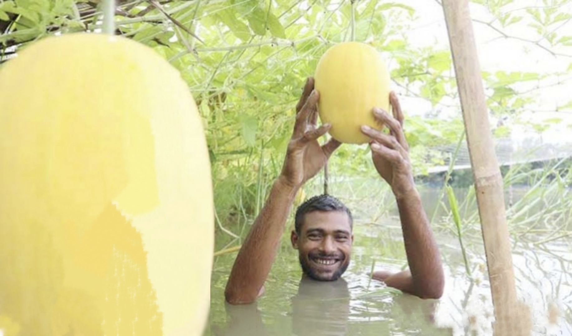 4f3cdca1-4281-42c4-8053-3c9c0eb6c07c26781