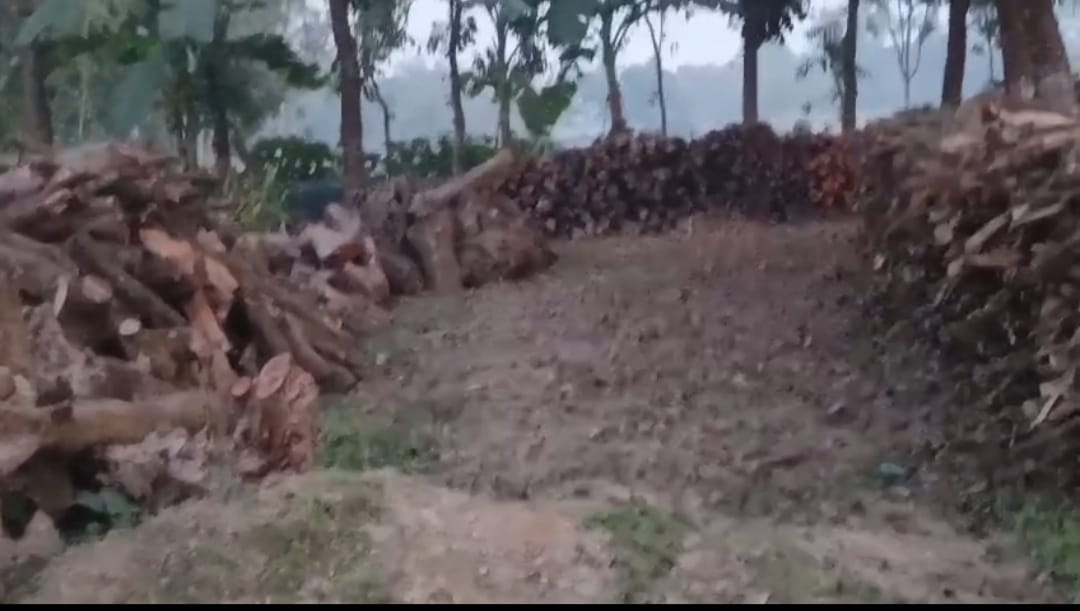 04dd14e6-6a2e-4848-930c-e34a22da41a838120