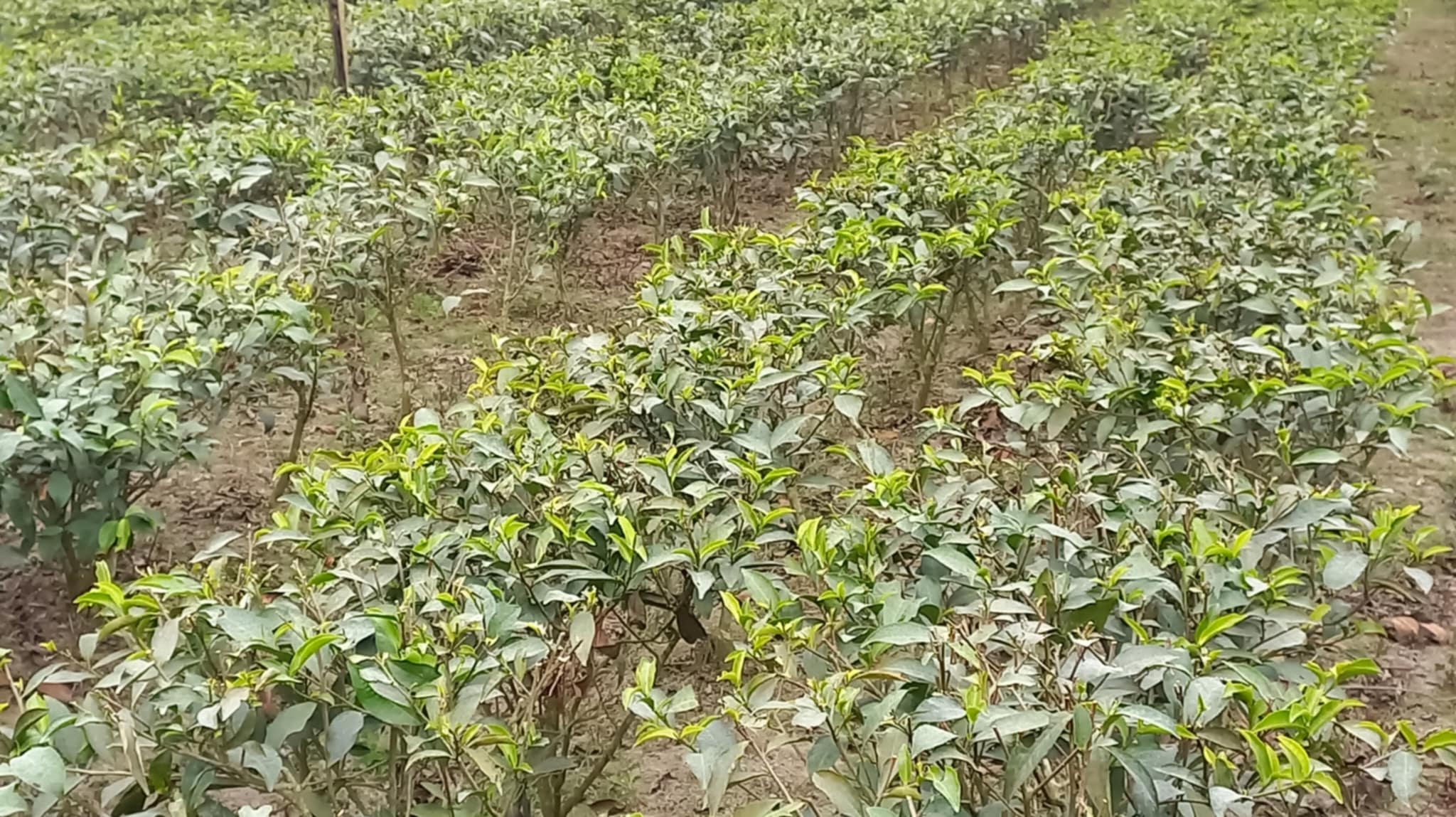 f68b2cca-2e4c-4320-97e0-265ae427b6e030378