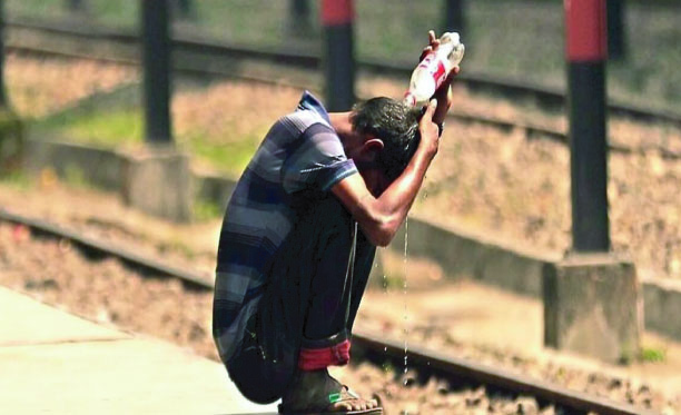 d59d02e5-654b-4693-9073-045642bce47335956