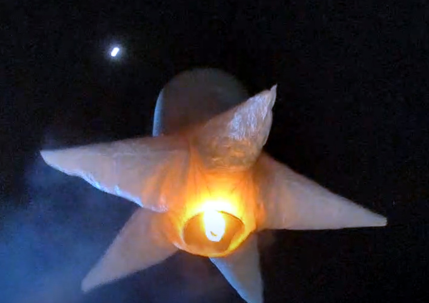 165bc7f3-8dee-418c-afe4-01a8d127dfcd30941