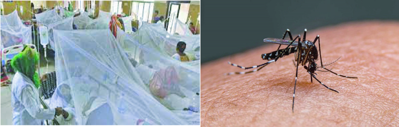 07cf97fe-f049-42f2-8879-feb75b29ffb529025