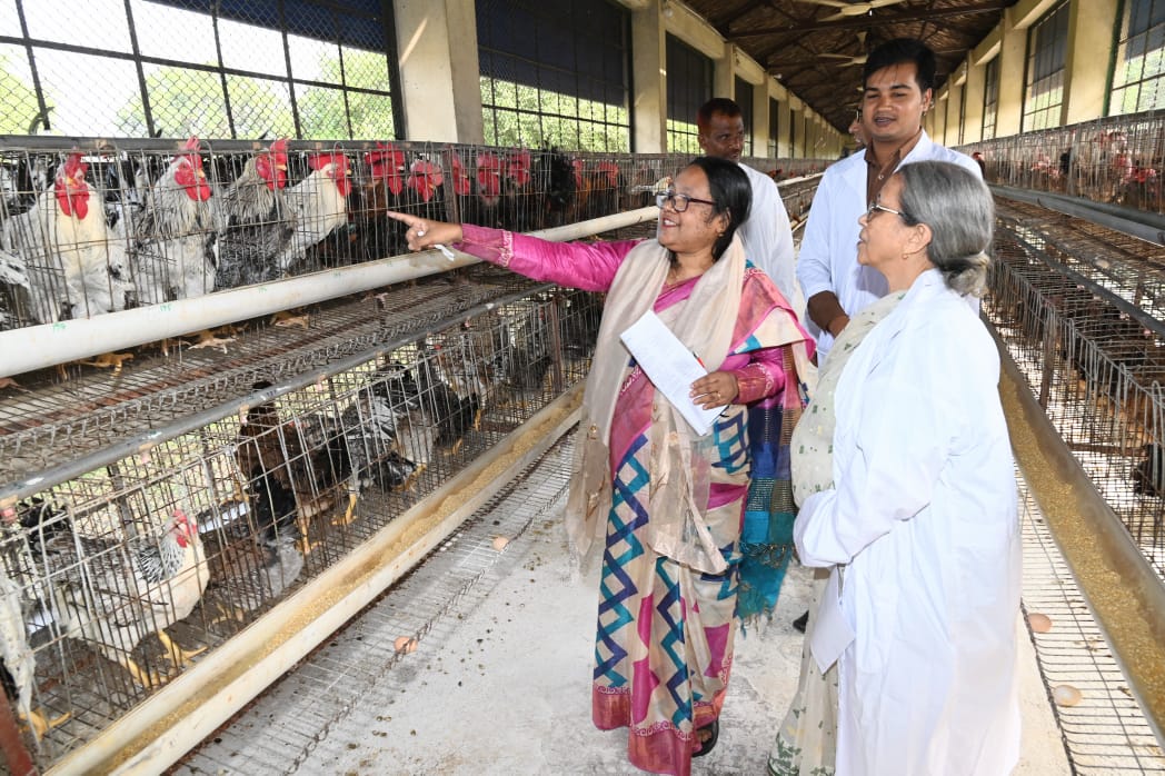 d6af4181-edf3-4474-b78b-77a32b20520128841