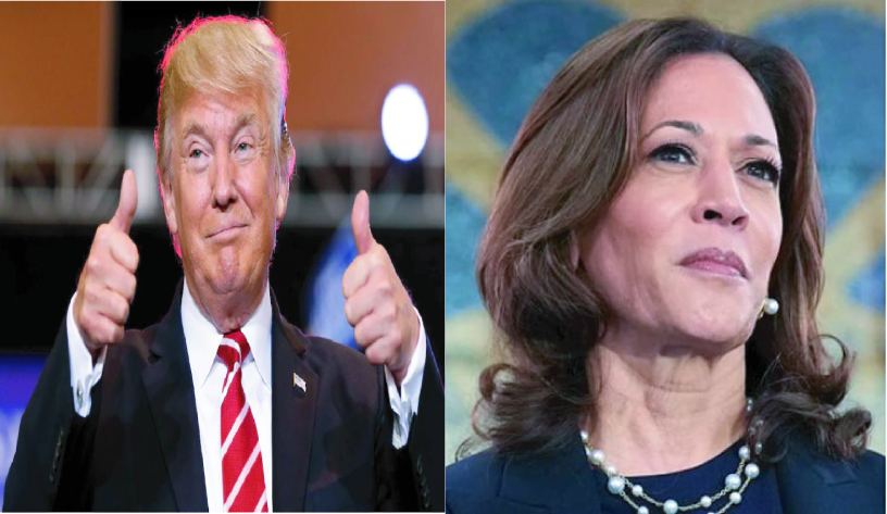 b229346b-9414-4e29-8ab1-ca0c7aaedc2a28618