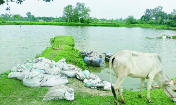 07556867-45bd-45ba-a23c-a64f0765f20935243