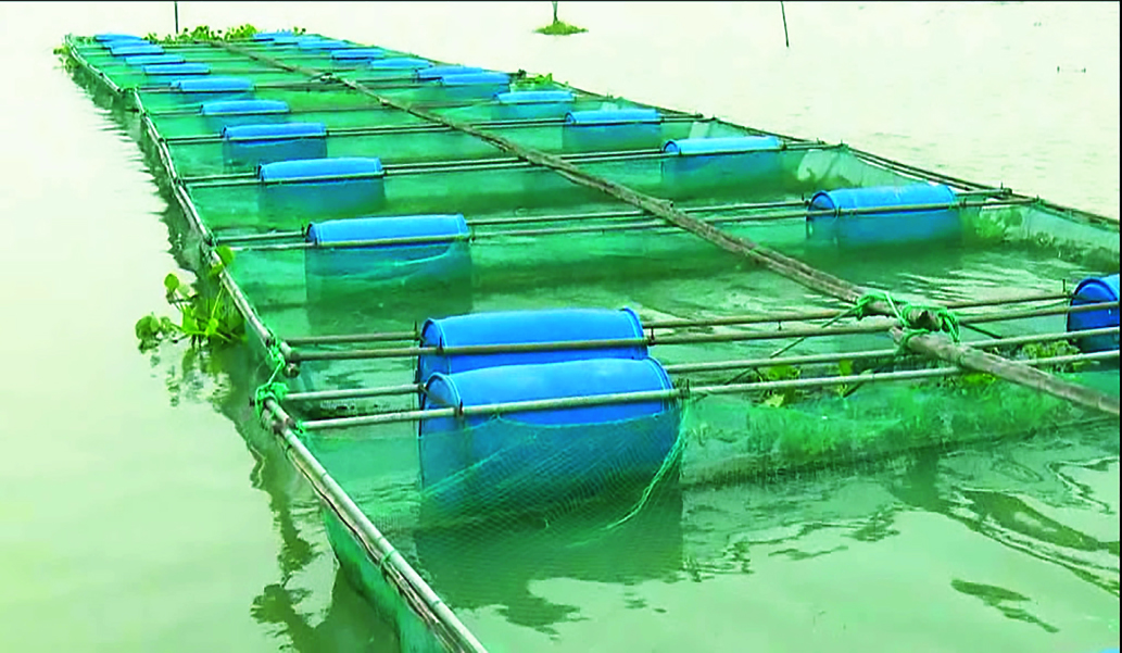 2c88aa6e-110a-4065-a6ab-1bccb621067534974