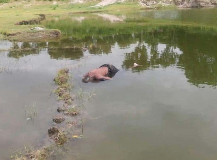 b9e979e8-470c-4733-bdb2-44c86eb4f53634114