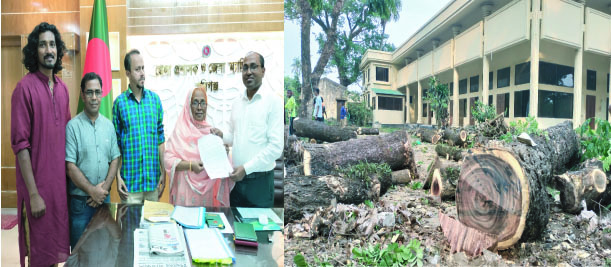 86f9a347-5d0f-4dbe-aa2d-2811cafc1e0e32534