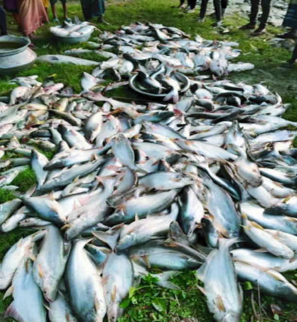 050f76bb-ff3a-4868-81ff-49ab9d40c71532946