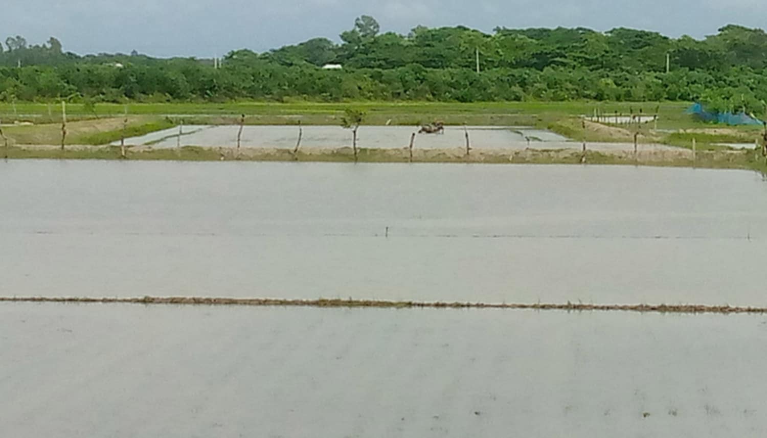 b2743102-2a80-4c52-a7d6-a3faa2fb7fc935436