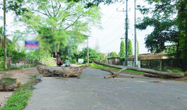 32cf96ba-0b76-431c-bbb7-b9af3c403f7e36398