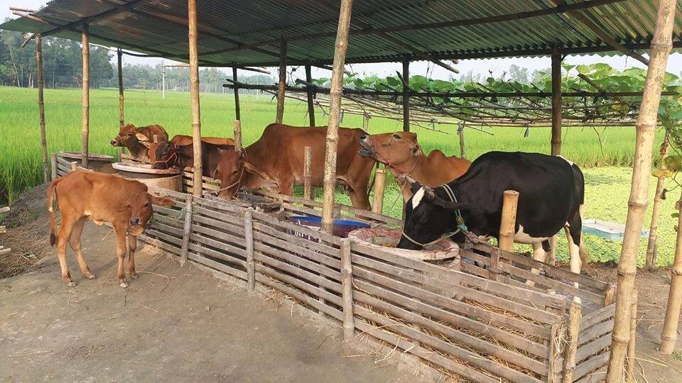 08b86419-1c12-405e-b5d1-24e952cd1f2130336