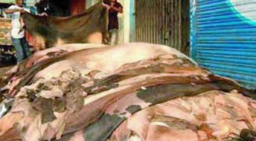 807c4457-83a8-48aa-8e59-4593ea0f1c8833366