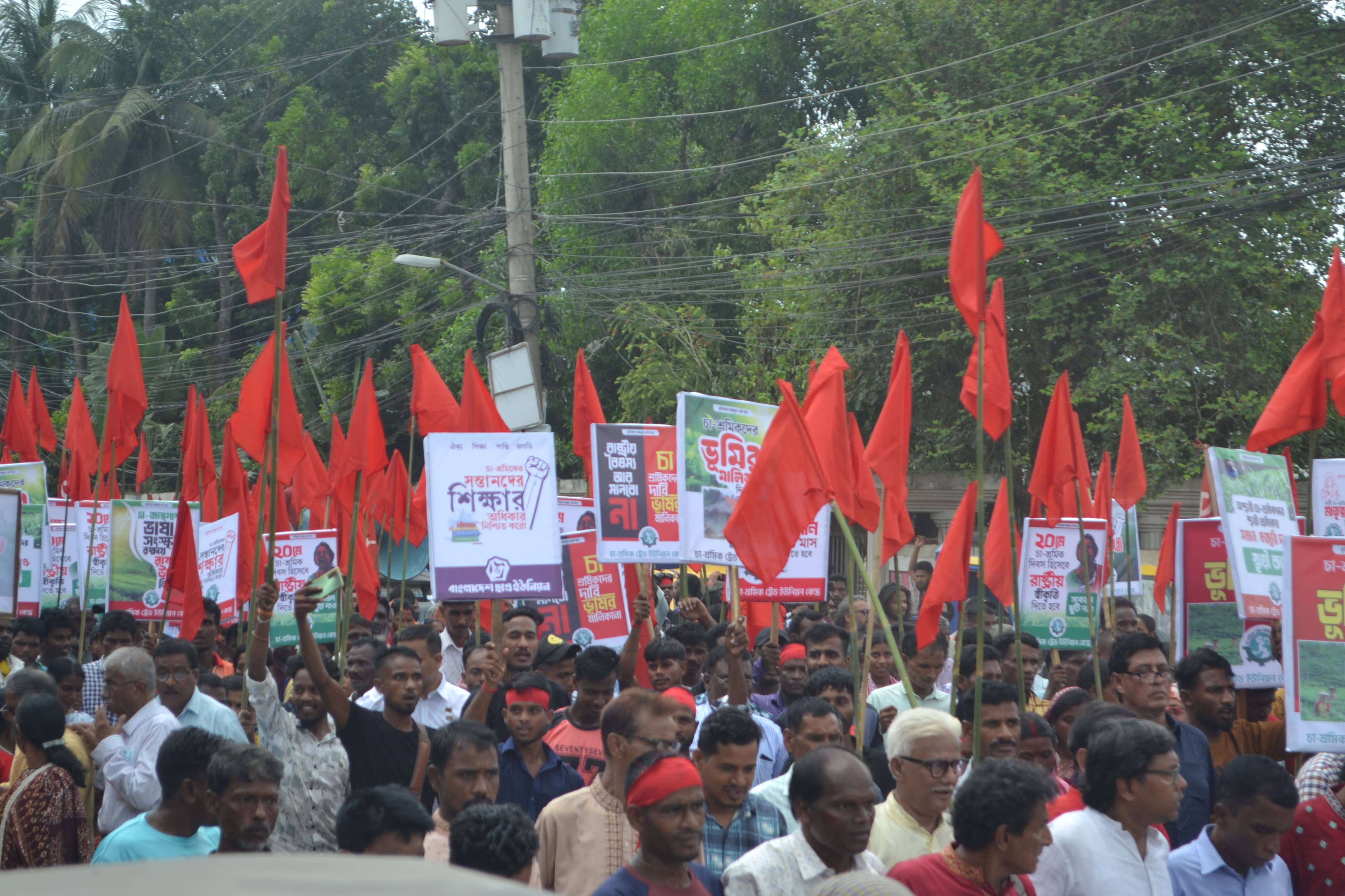 90fcc73c-eaab-45e1-a674-c444bf60cc0234110