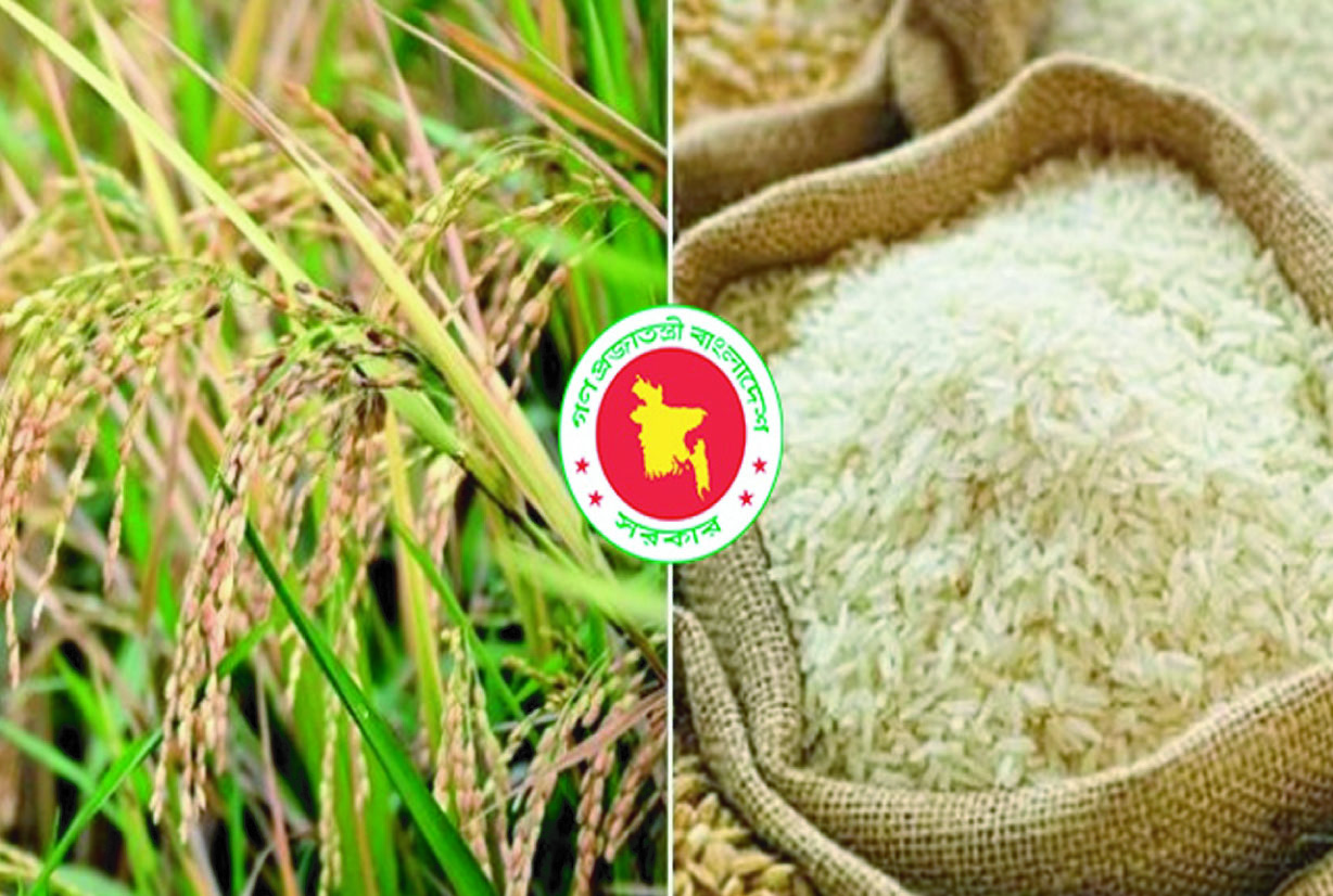 475b1a3b-6b74-48e9-a7ba-5d96e56e779a37722