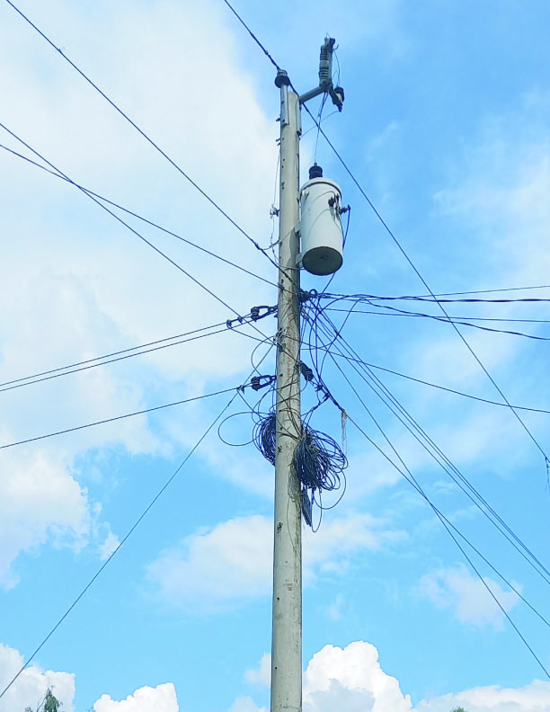 42ff8a2d-2ffb-4152-a295-cf79a912750733339