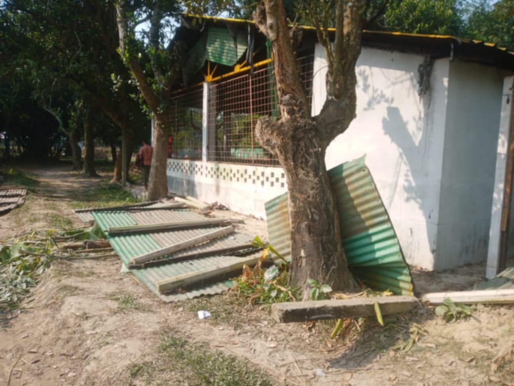 976fa25e-7176-411e-afc4-64354417085a29155