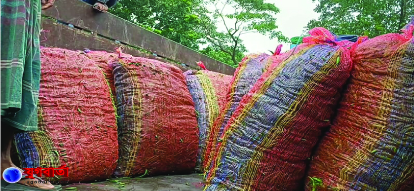 a1be5fee-e9e9-49b3-85c9-8718d3837c5c28090