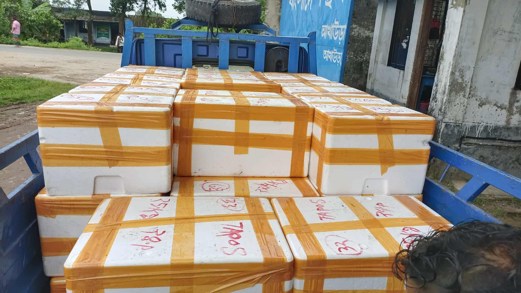 38b2c48a-ce91-43f8-8188-999c06a6624d36178