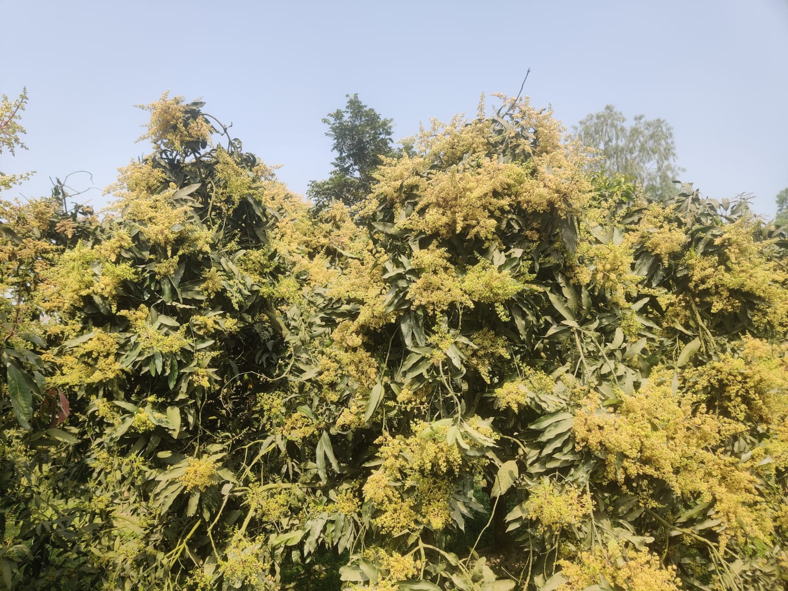 c0112997-eabb-4b36-854b-b9bc4d66ace140150