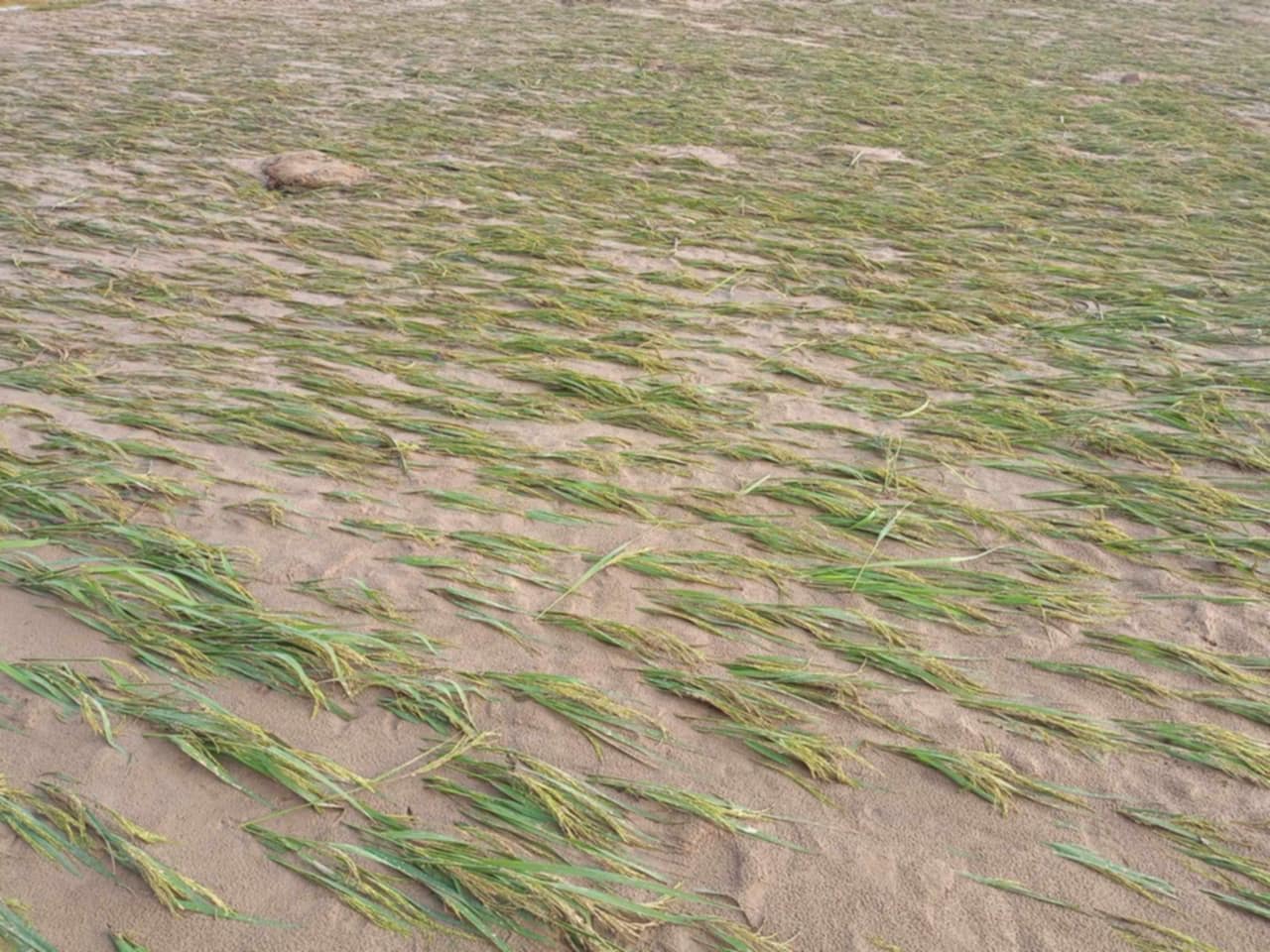 f9d41e8f-f0f9-43c2-84f4-0a54f56a35ba27927