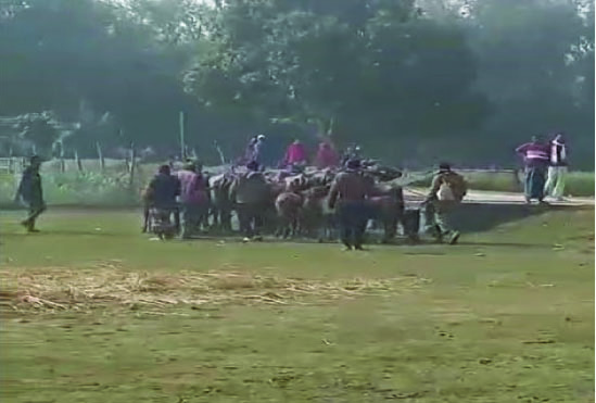 ae9b42eb-357c-487d-ab94-3751ab9aa20d31031