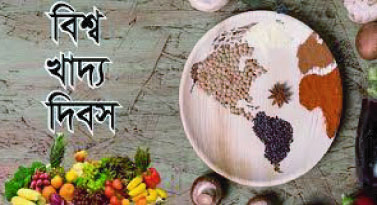 31f4eea9-01b2-4e30-8ac7-92368feff1d836913