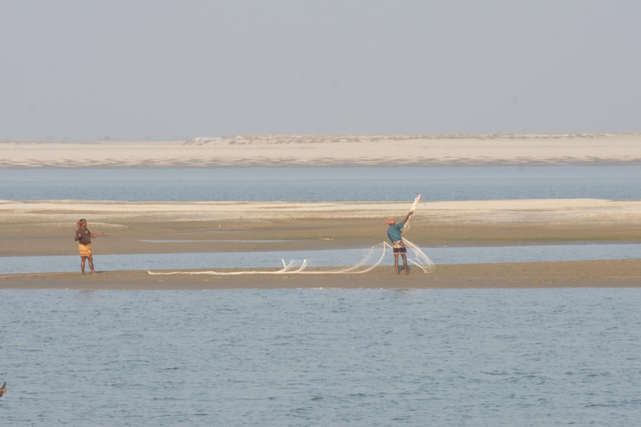 a2840cb8-95db-447e-89f2-a90158619d5130131