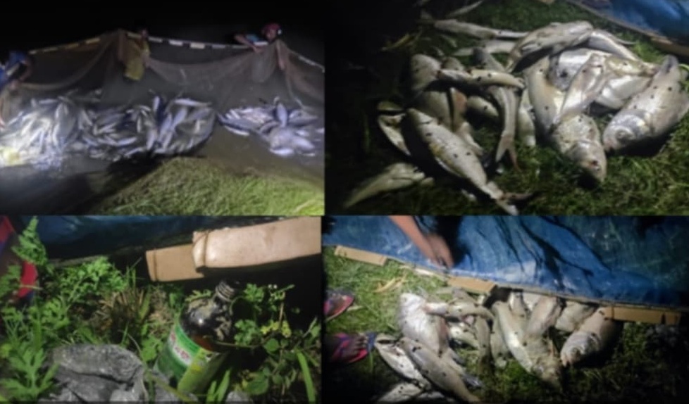 4c82389e-35d7-4aec-8d24-490fe2c83ddc33712