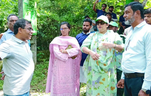 80bb195c-7ce0-4804-ade1-60fcf1b17c0c37405