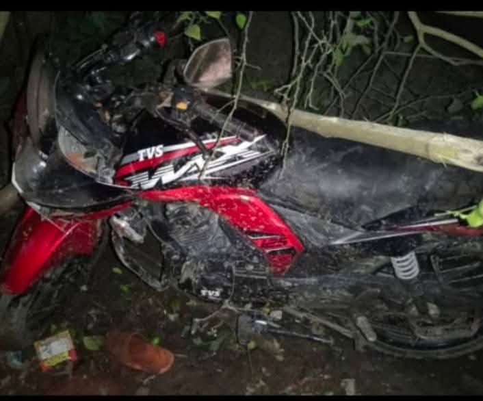 542f76fb-eaf6-42e3-abb1-483716d56e0530566