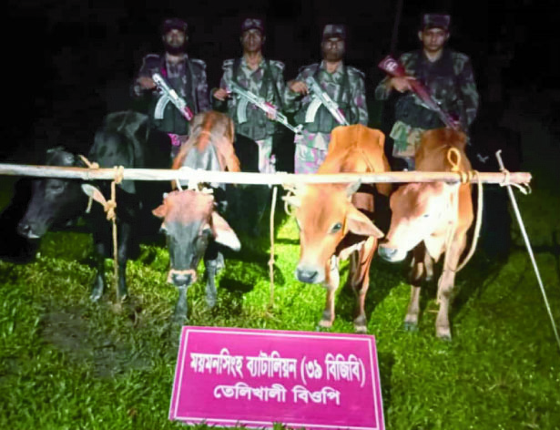 f100382c-839d-41f3-afb8-fe48be75978435959