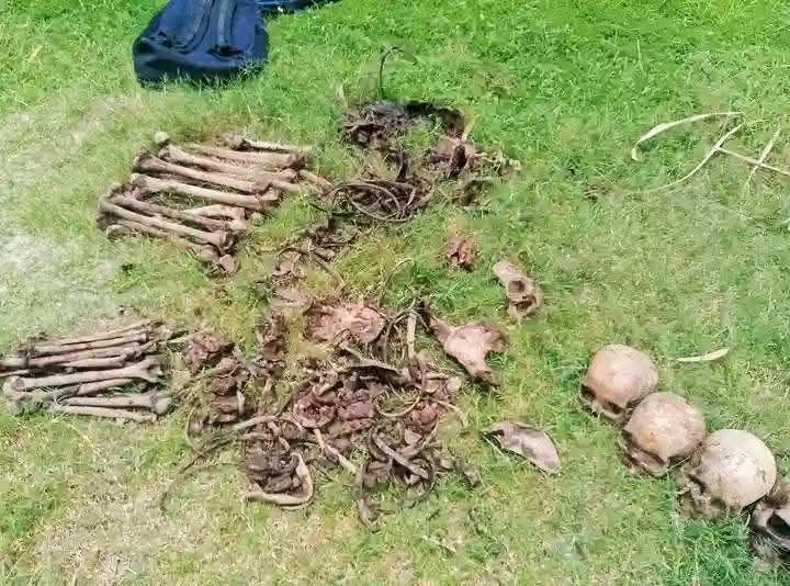 596d15ed-3bc1-42ac-94cf-44b5f191cd6533580