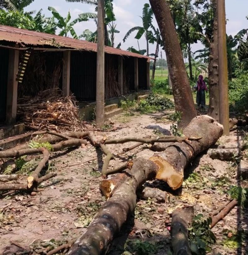 7457defd-25f1-4654-9735-2b524ea9484926638