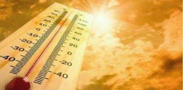 80603179-c670-440d-a19c-8d966f11c79636142