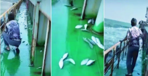 3513c25d-b5d7-497f-a67b-d98e7d484a0c37985