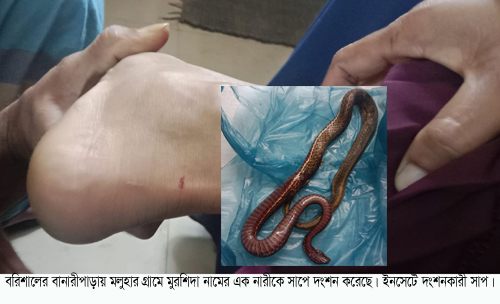 b39afbbc-f16f-442b-98c6-74425782d21429085