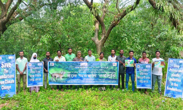 c2ee7476-2b17-49cc-aa1c-add6fdc6e2c531978